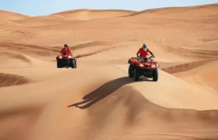 Desert Safari Dubai + Vip + Atv