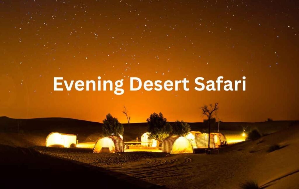 Evening Desert Safari