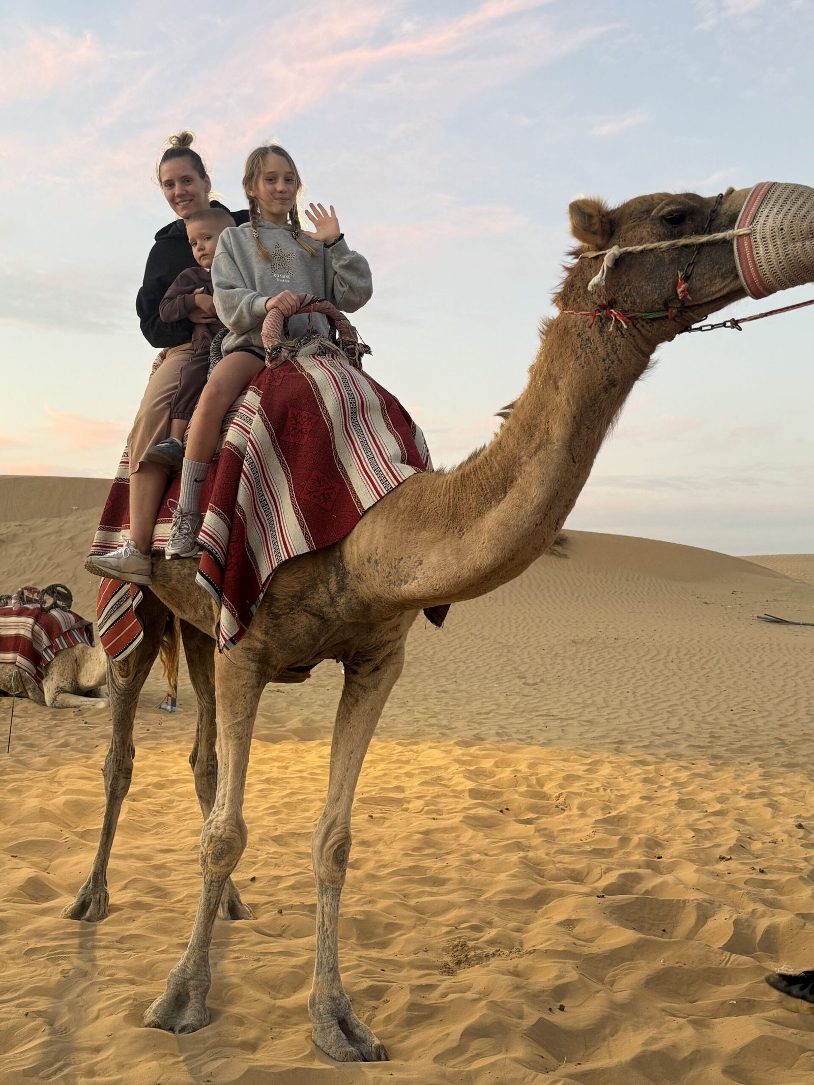 Desert sunrise golden hour over the Arabian sand dunes